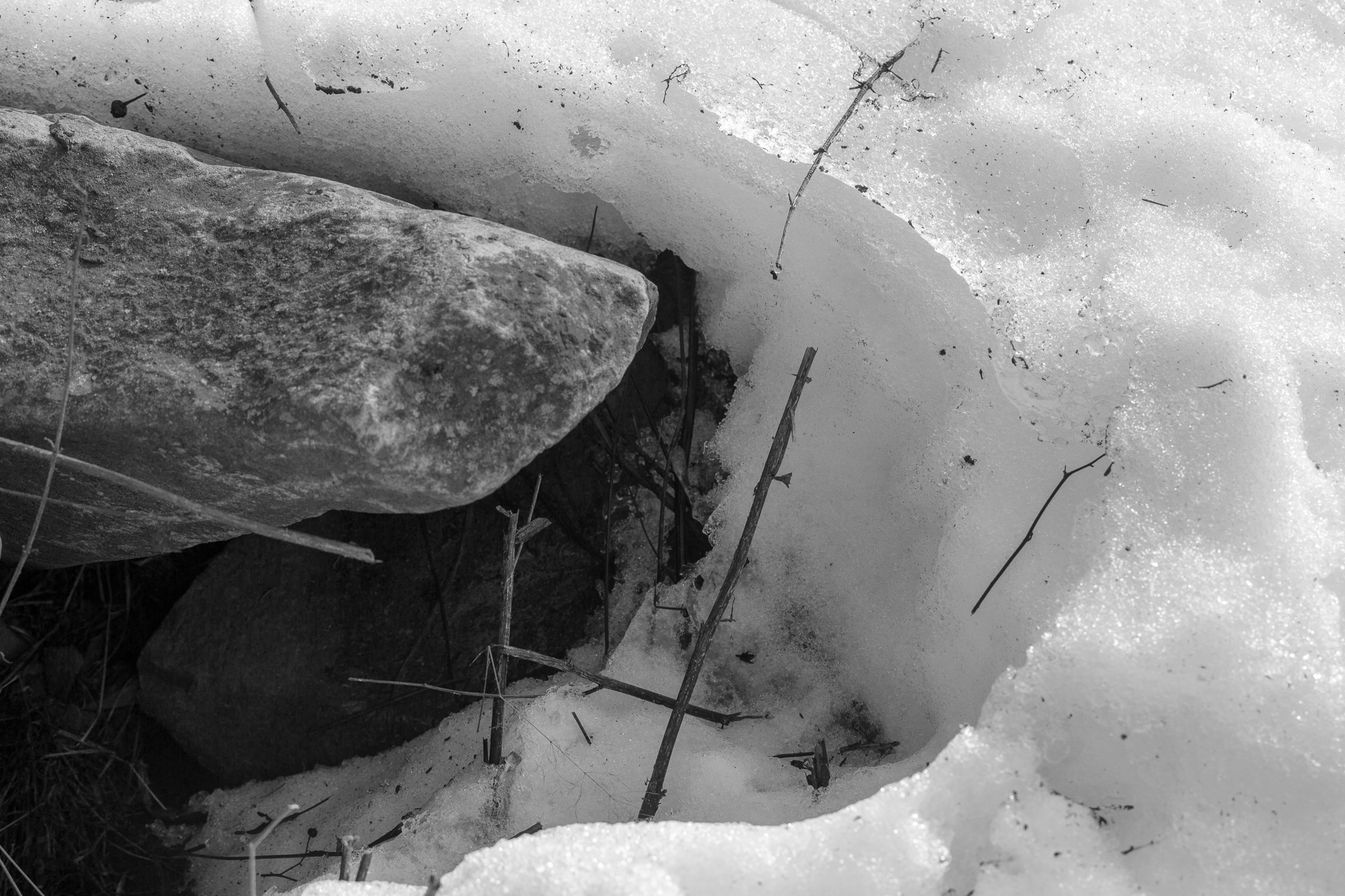 Schmelzende Schnee-Muster - photo auge