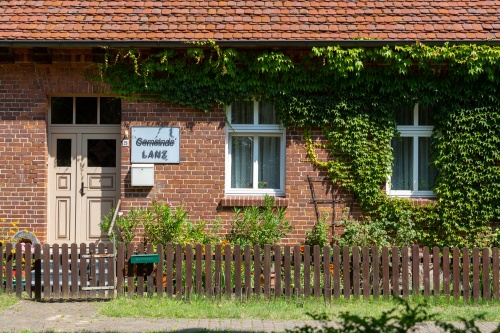 Gemeine Lanz - 02