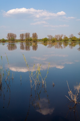 An der Elbe