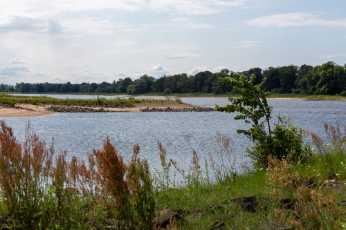 Buhnen