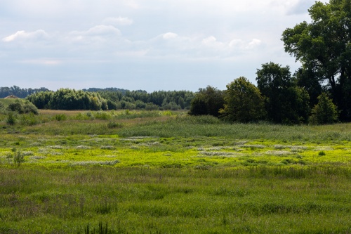 Zwischen den Deichen
