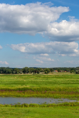 Schoenwetter-Wolken - 03