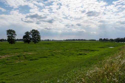 Sonnenstrahlen