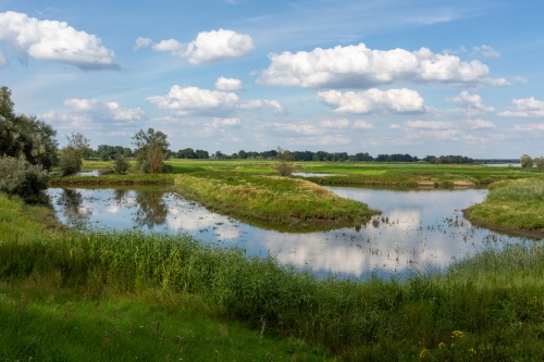 Spiegel-Wolken
