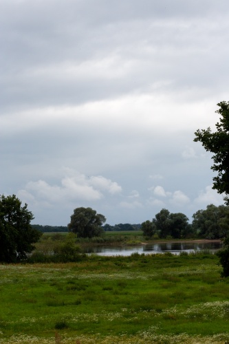Wolken - 03