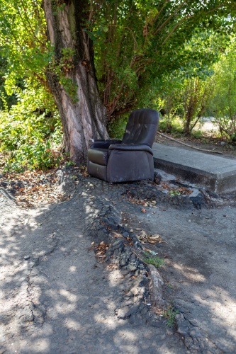 Natur und Brachgelaende