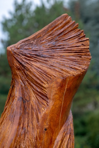 Reinhold Mehring Ebony-2