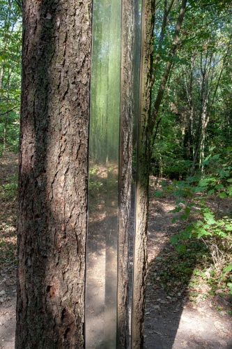 Vera Roehm 3