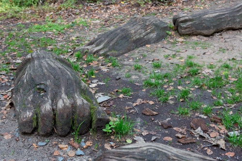 4. Internationaler Waldkunstpfad_-3