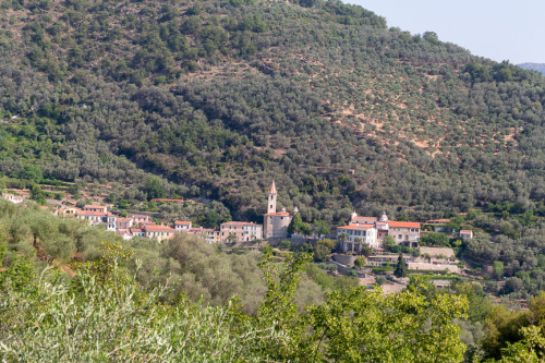 Landschaft mit Olivenbaeumen
