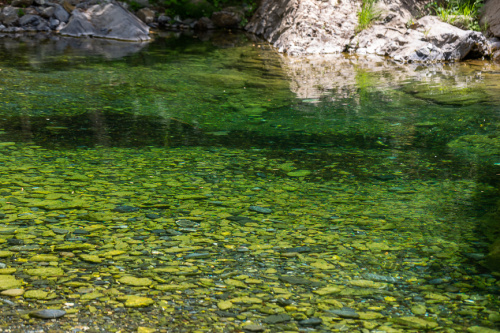 Bach bei Ponte Calcinaro-2