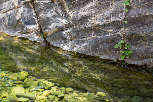 Bach bei Ponte Calcinaro-3