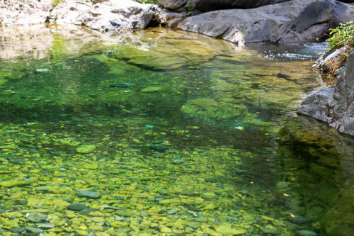 Bach bei Ponte Calcinaro-4