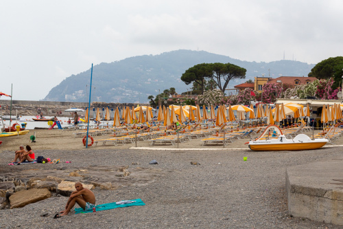 cervo - Gelber Strand