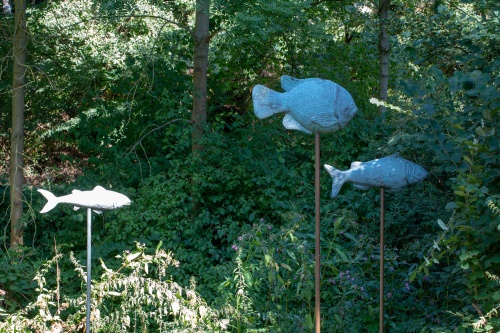 Maria Wiechers, Fische