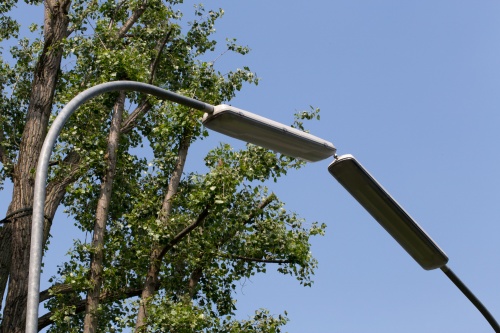 Michael Sailstorfer, Elektrosex