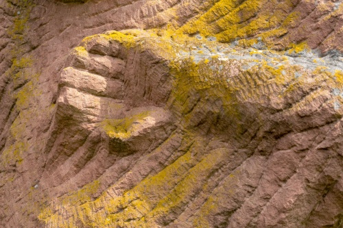Friedhelm Welge- Sich Windender - Detail