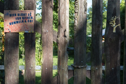 Hier blueht es fuer Hummel & Co!