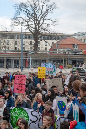 Zoom-In Kundgebung mit Eiche
