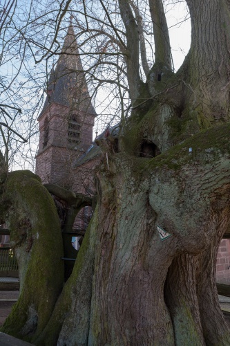 Tanzlinde in Himmelsberg mit Kirchturm
