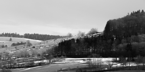 Blick von Westen auf die Huteflaechen am Steinkopf