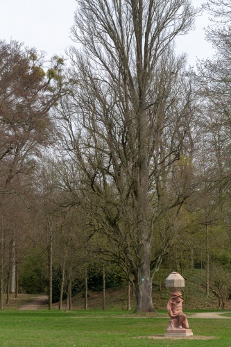 Pyramideneiche in der Ehemalige Kuranlage Wilhelmsbad
