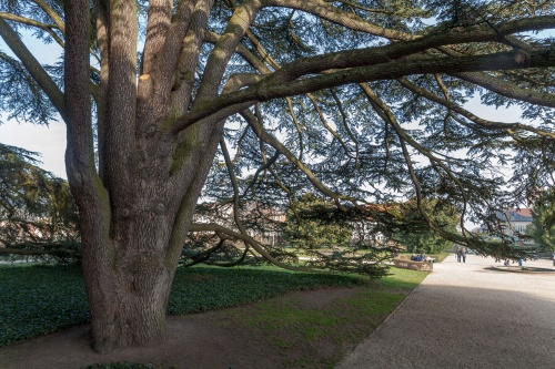 Blick R. Sinclair-Haus