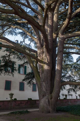 Schlosspark Bad Homburg