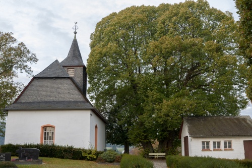 Marklinde Oberlauken - Habitus