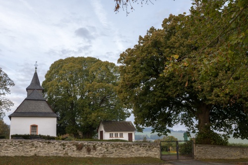 Marklinde Oberlauken u. weitere Linde