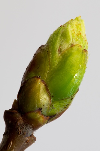 Vergrößern 21.03.2016