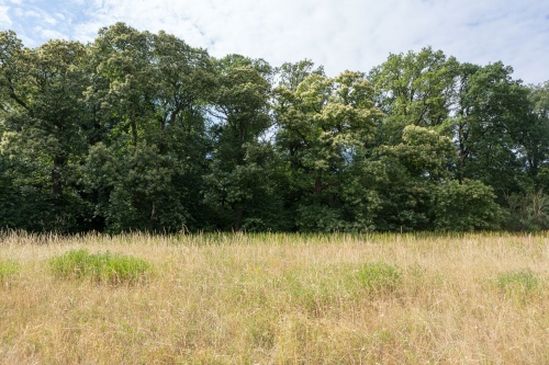 Teilansicht von der Wiese aus