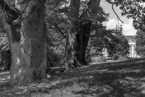 Park in Putbus