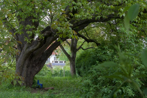 2010 05 17 Mainz Nussbaum