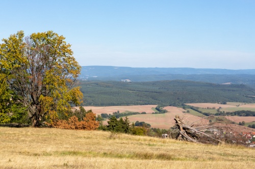Hutebuchengruppe bei Huempfertshausen-15