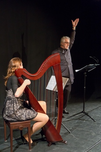 Zoom-In Sarah Elisabeth Burow - Harfe, Oskar Muerell