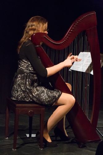 Zoom-In Sarah Elisabeth Burow - Harfe