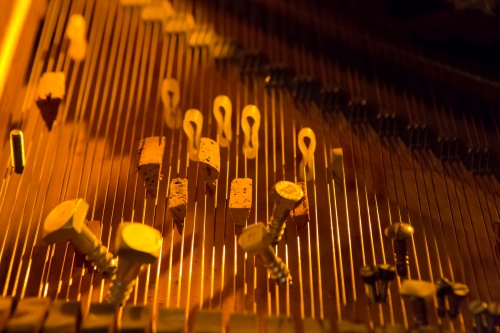 Praeparierter Fluegel-2