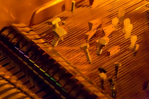 Praeparierter Fluegel-5