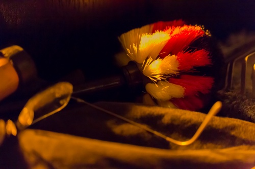 Praeparierter Fluegel-6