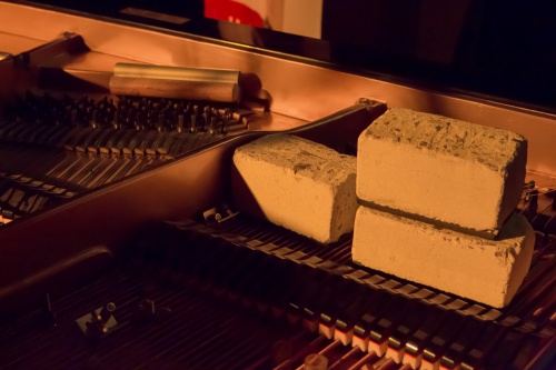 Praeparierter Fluegel-9