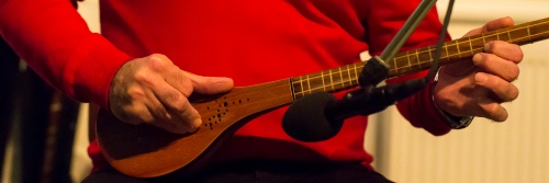 Mehdi Aslani an der Setar