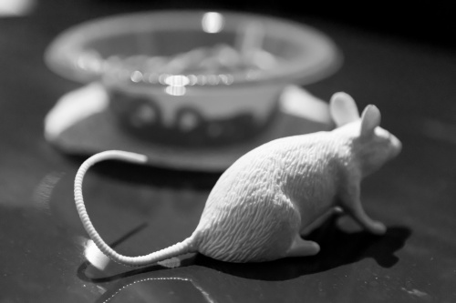 10 - JAHRE HEINRICH-HEINE-CLUB IN OFFENBACH-11