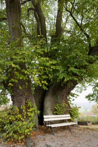 Marklinde Oberlauken