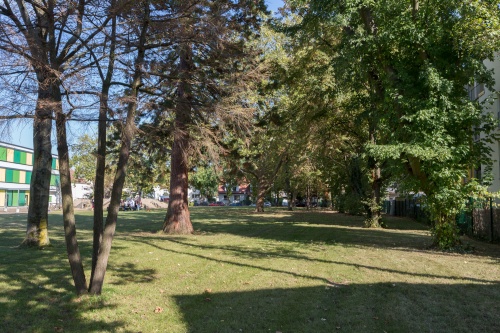 Freigegebener Teil des Schulhofes