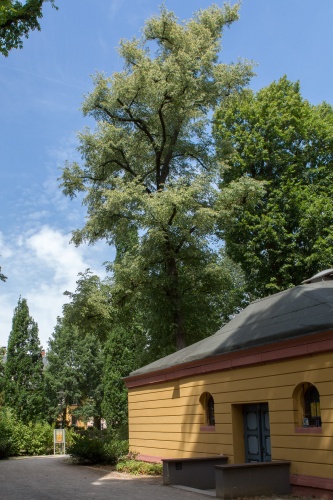 Schlosspark