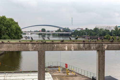 01 Schleuse Offenbach-3