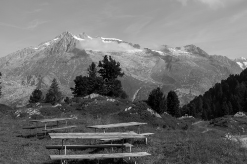 Vergrößern Beim Pronatura Zentrum