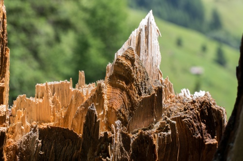 Kreativer Sturm