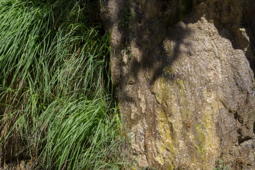 Vergrößern Gras - Fels - Wasser